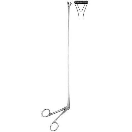 Rectal Biopsy Forceps