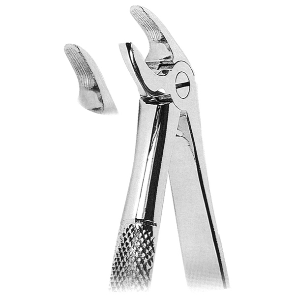 Extracting Forceps