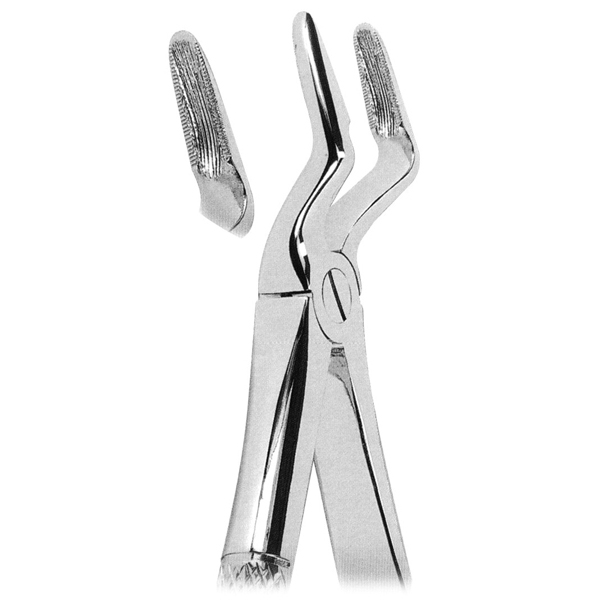 Extracting Forceps