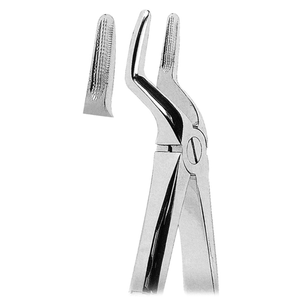 Extracting Forceps
