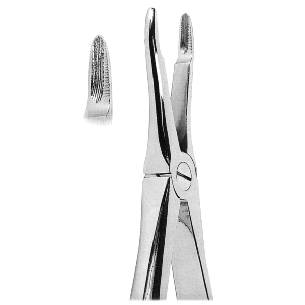 Extracting Forceps