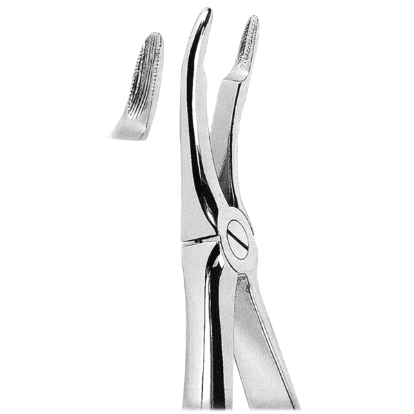Extracting Forceps