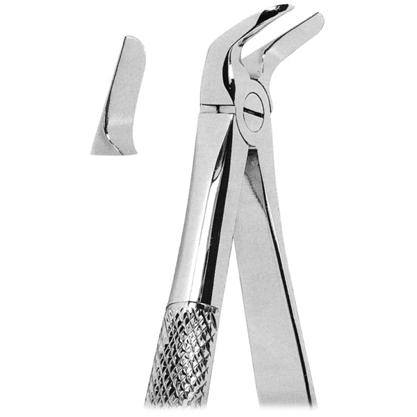 Extracting Forceps