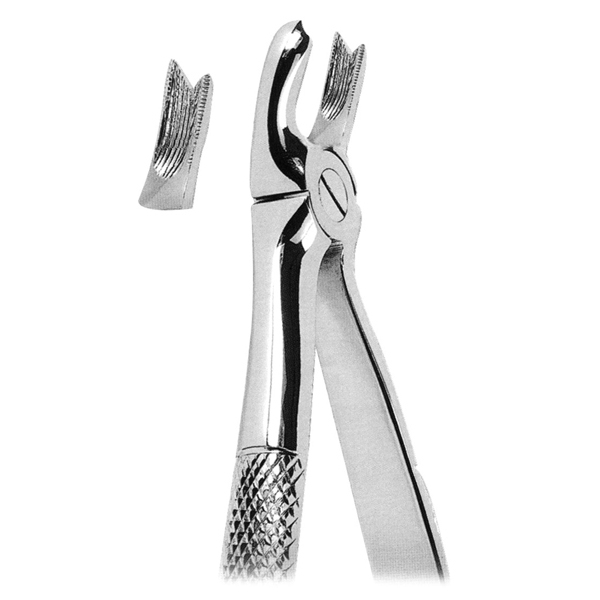 Extracting Forceps