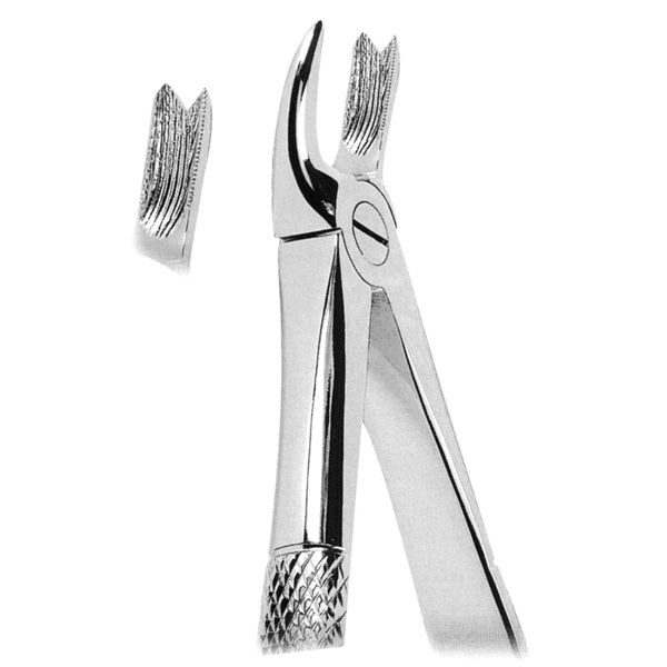 Extracting Forceps