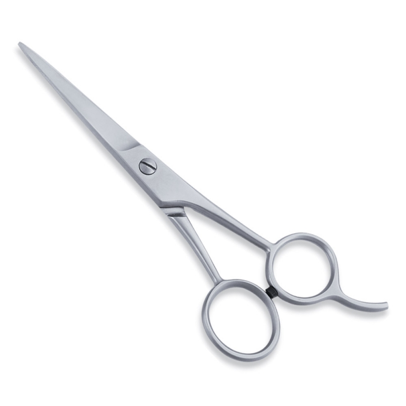 Economy Hair Scissors