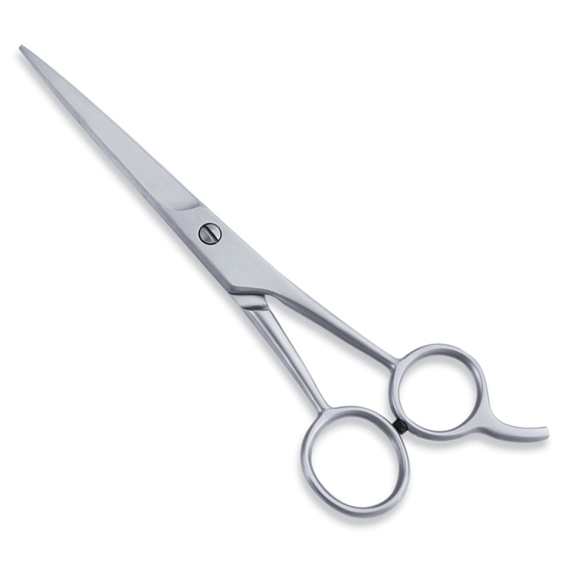 Economy Hair Scissors