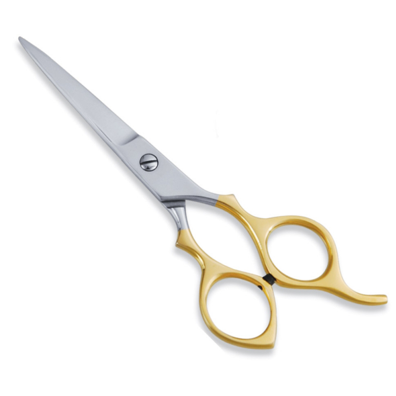 Economy Hair Scissors