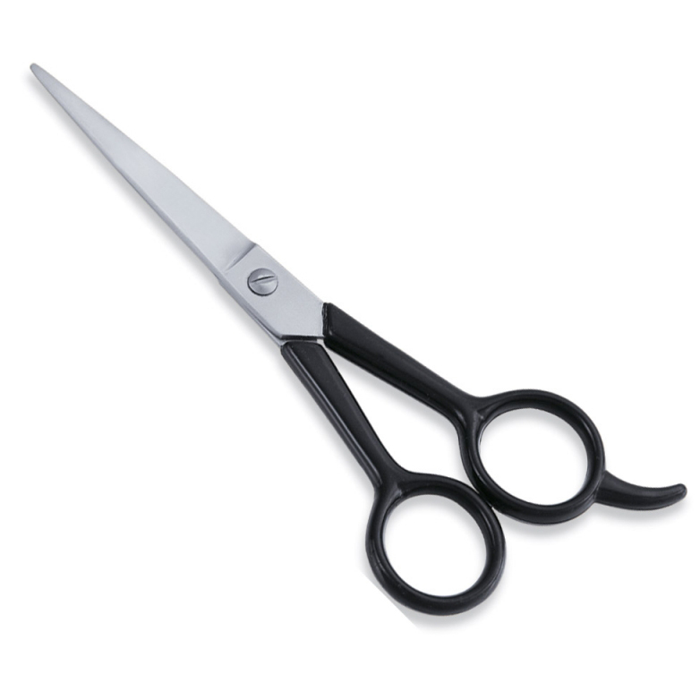 Economy Hair Scissors
