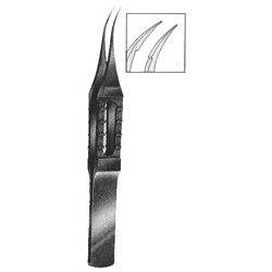Forceps